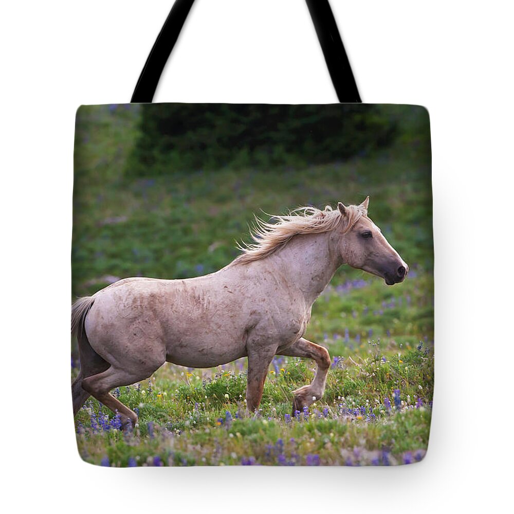 Mark Miller Photos Tote Bag featuring the photograph Cloud- Wild Stallion of the West by Mark Miller