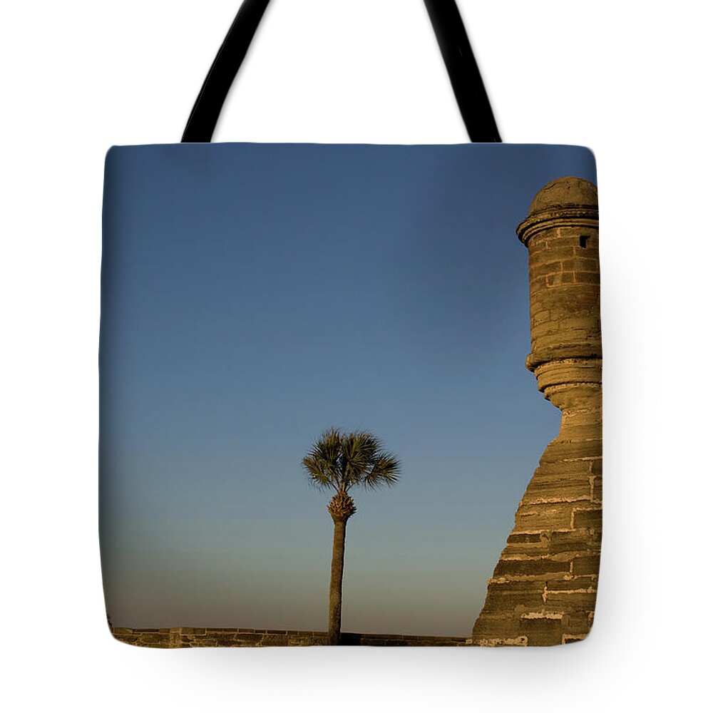 Cloudless Palms Tote Bag featuring the photograph Cloudless Palms by Dylan Punke