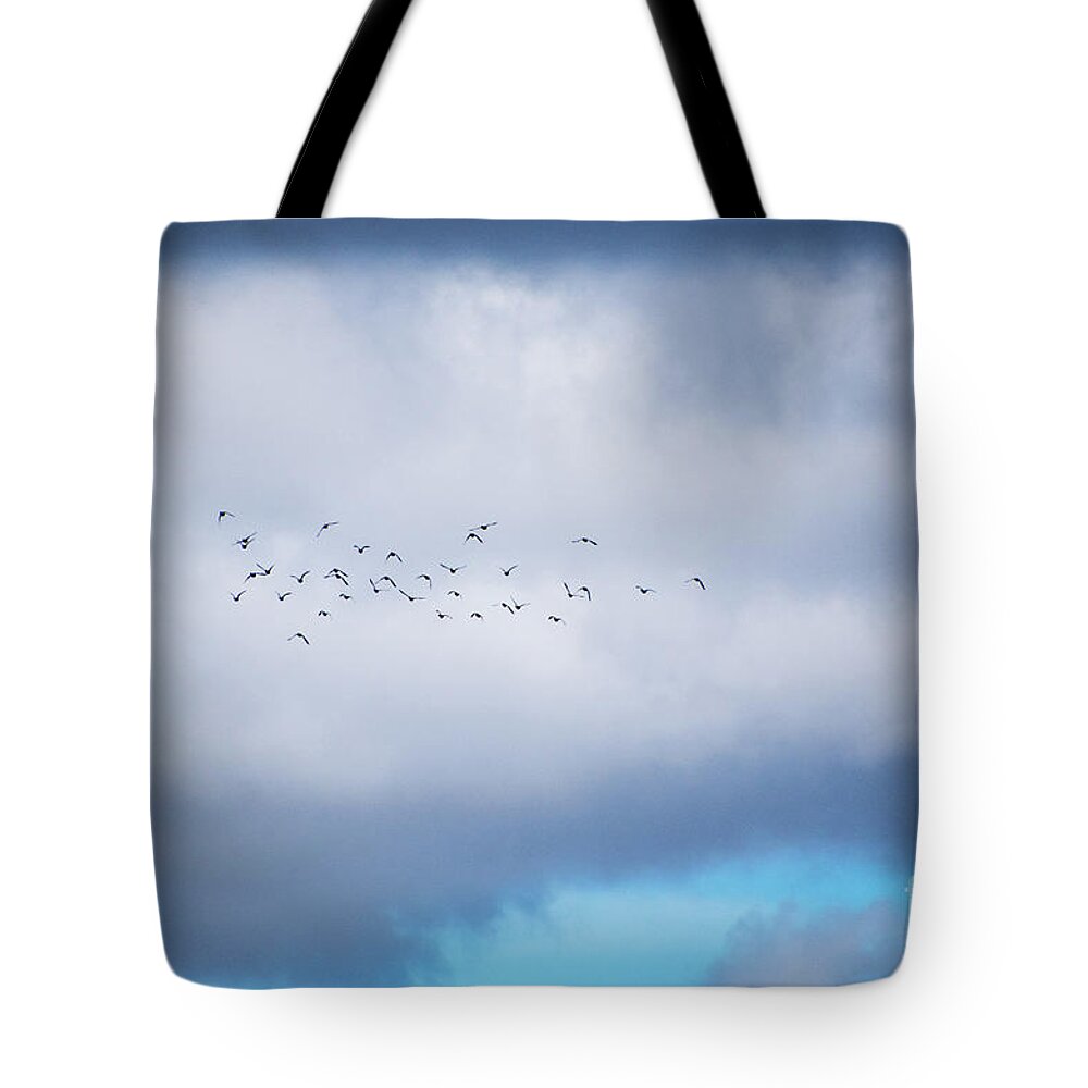 Ducks Tote Bag featuring the photograph Clouds and Ducks by Cheryl McClure