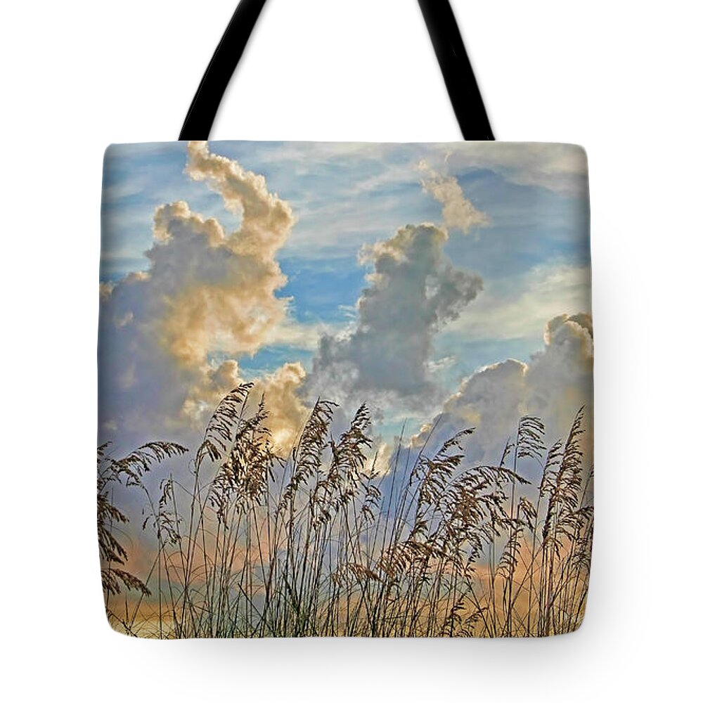 Seaoats Tote Bag featuring the photograph Clouds And Seaoats by HH Photography of Florida