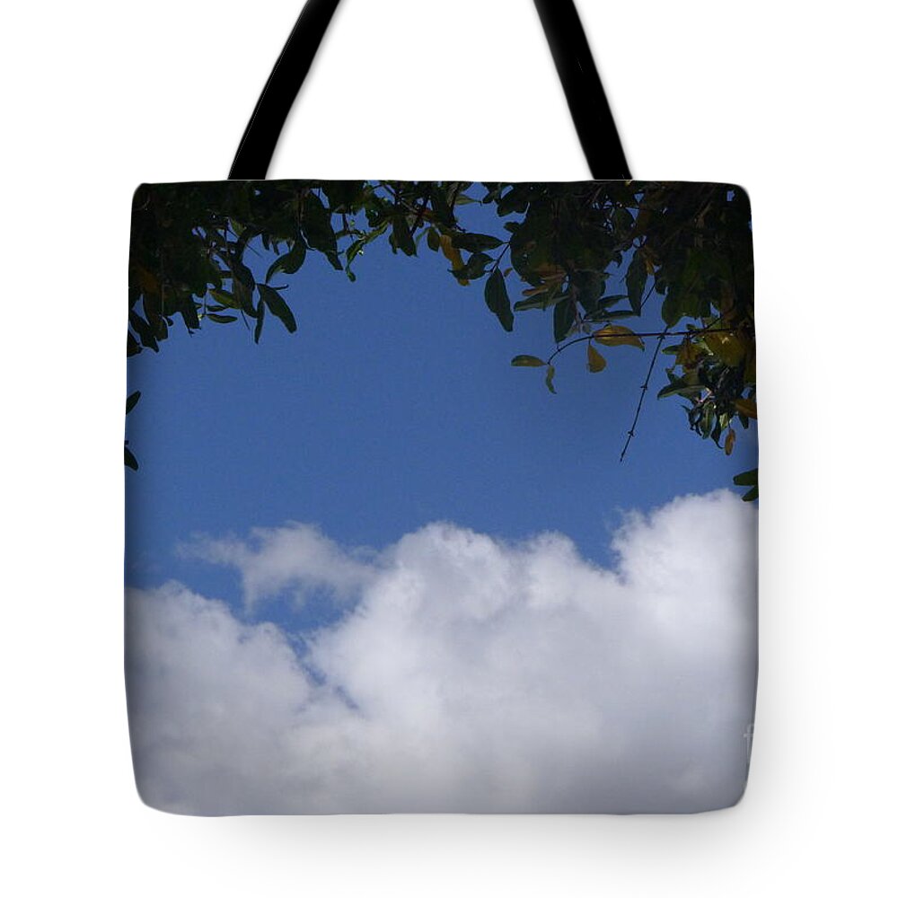 Clouds Tote Bag featuring the photograph Clouds Framed by Tree by Nora Boghossian