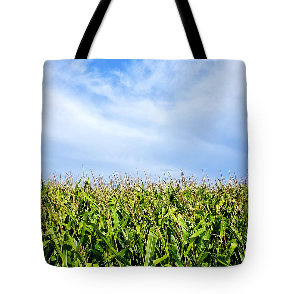 Clouds Tote Bag featuring the photograph Clouds over a cornfield by Fabrizio Troiani