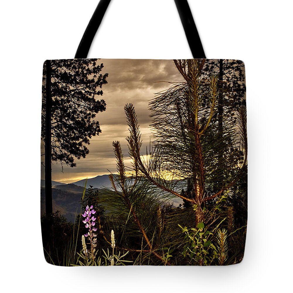 Landscape Tote Bag featuring the photograph Cloudy Day by Loni Collins
