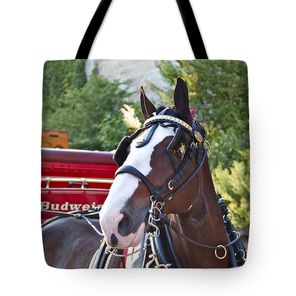 Clydesdale Horse Draft Esp Eastern State Penitentiary Budweiser Tote Bag featuring the photograph Clydesdale at ESP by Alice Gipson