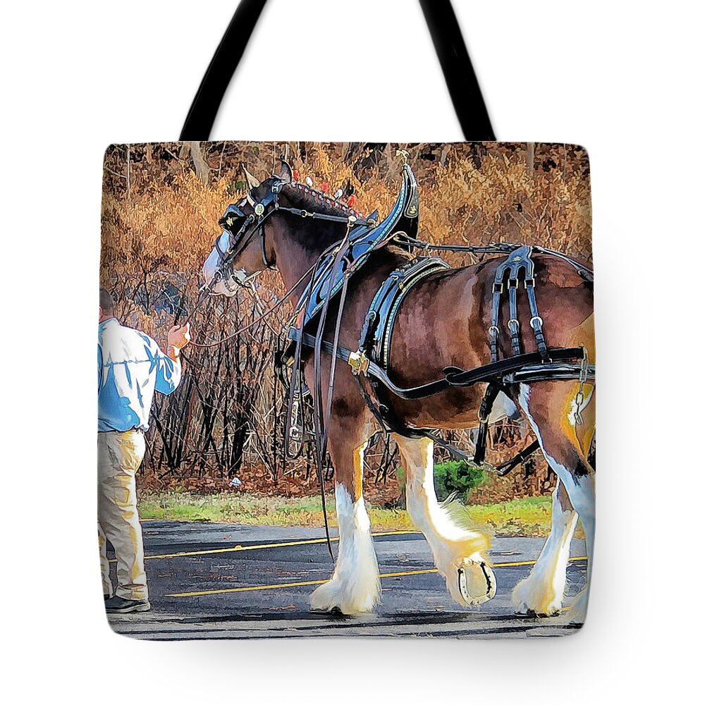 Clydesdales Tote Bag featuring the photograph Clydesdale by Constantine Gregory