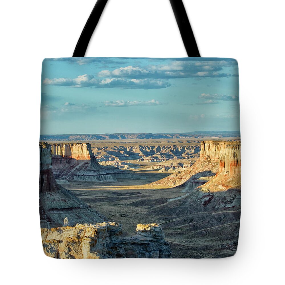 Coal Mine Canyon Tote Bag featuring the photograph Coal Mine Canyon by Tom Kelly