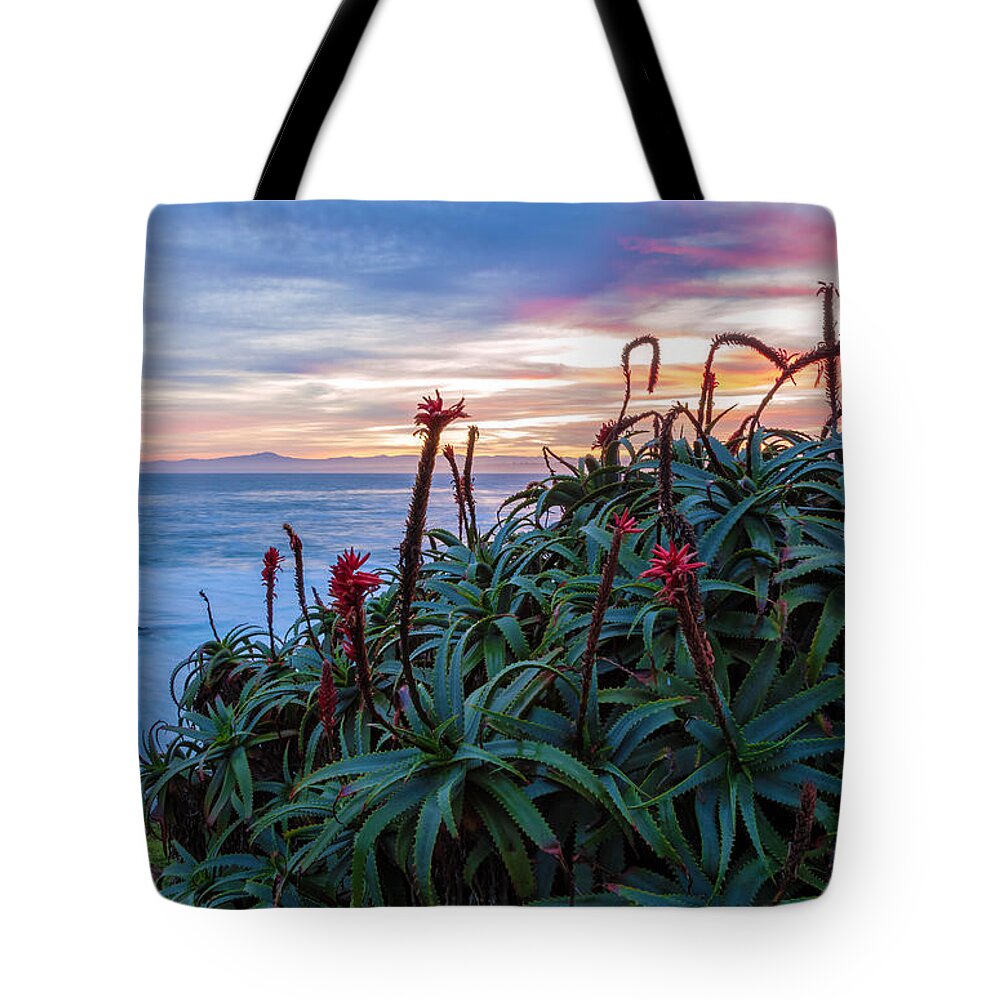Landscape Tote Bag featuring the photograph Coastal Aloes by Jonathan Nguyen