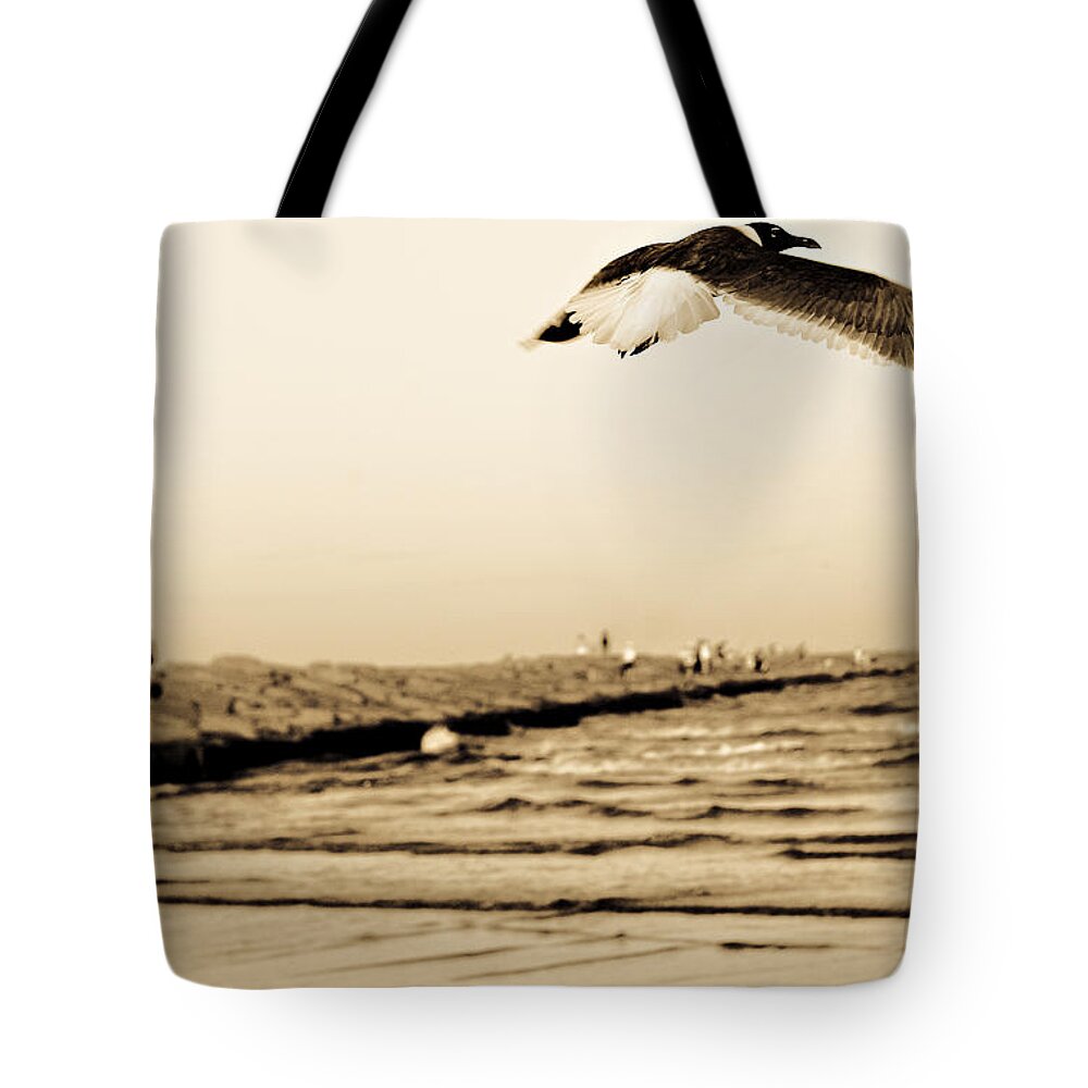 Bird Tote Bag featuring the photograph Coastal Bird in Flight by Marilyn Hunt