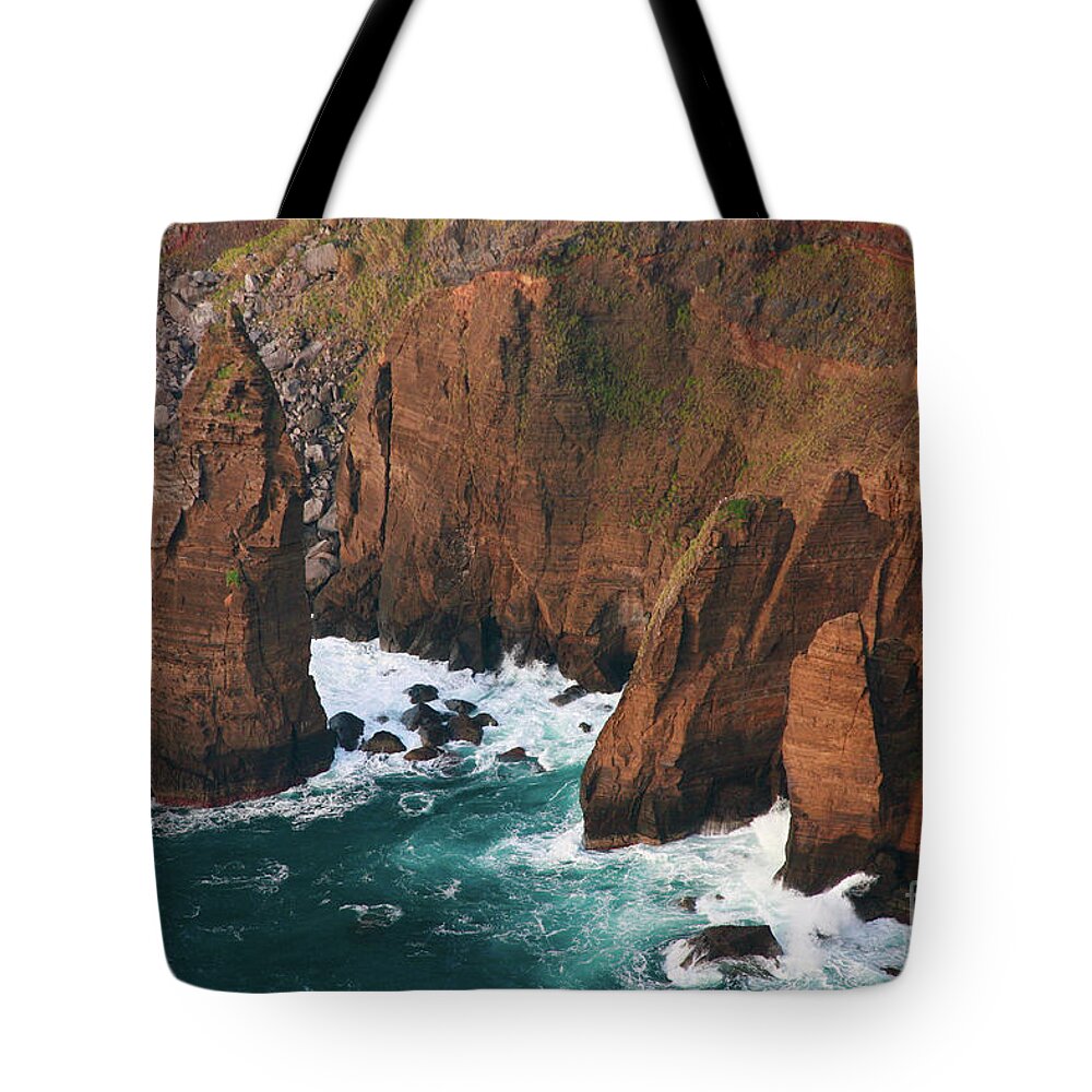 Rocks Tote Bag featuring the photograph Coastal detail by Gaspar Avila