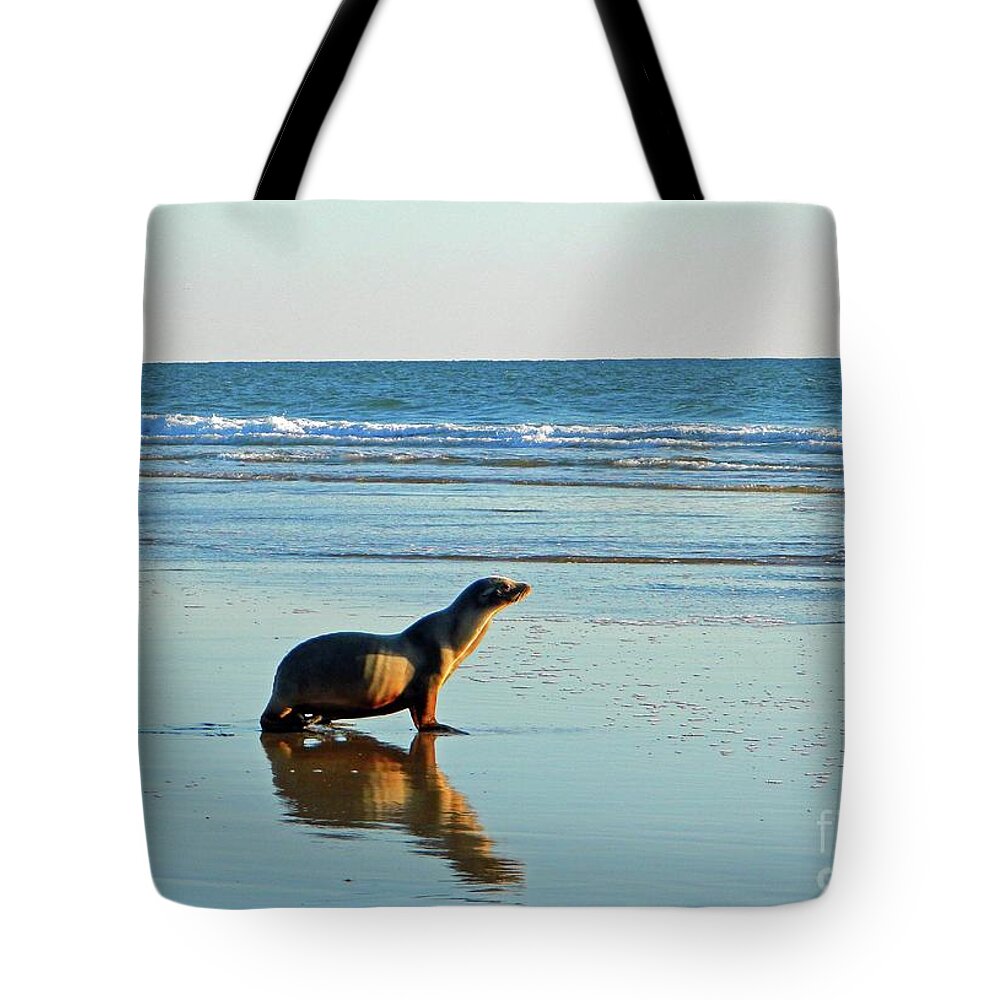 Sea Tote Bag featuring the photograph Coastal Friends by Everette McMahan jr