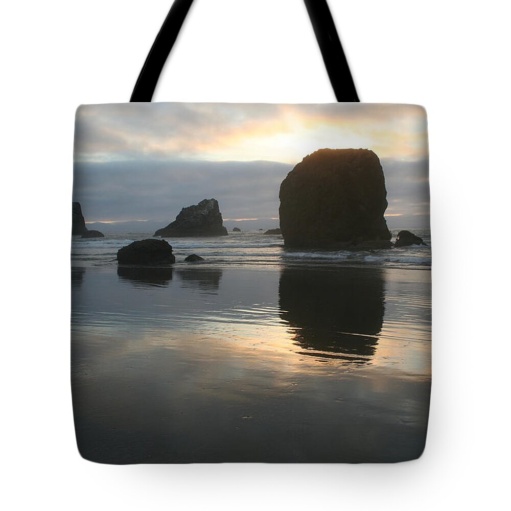 Landscape Tote Bag featuring the photograph Coastal Light by Dylan Punke