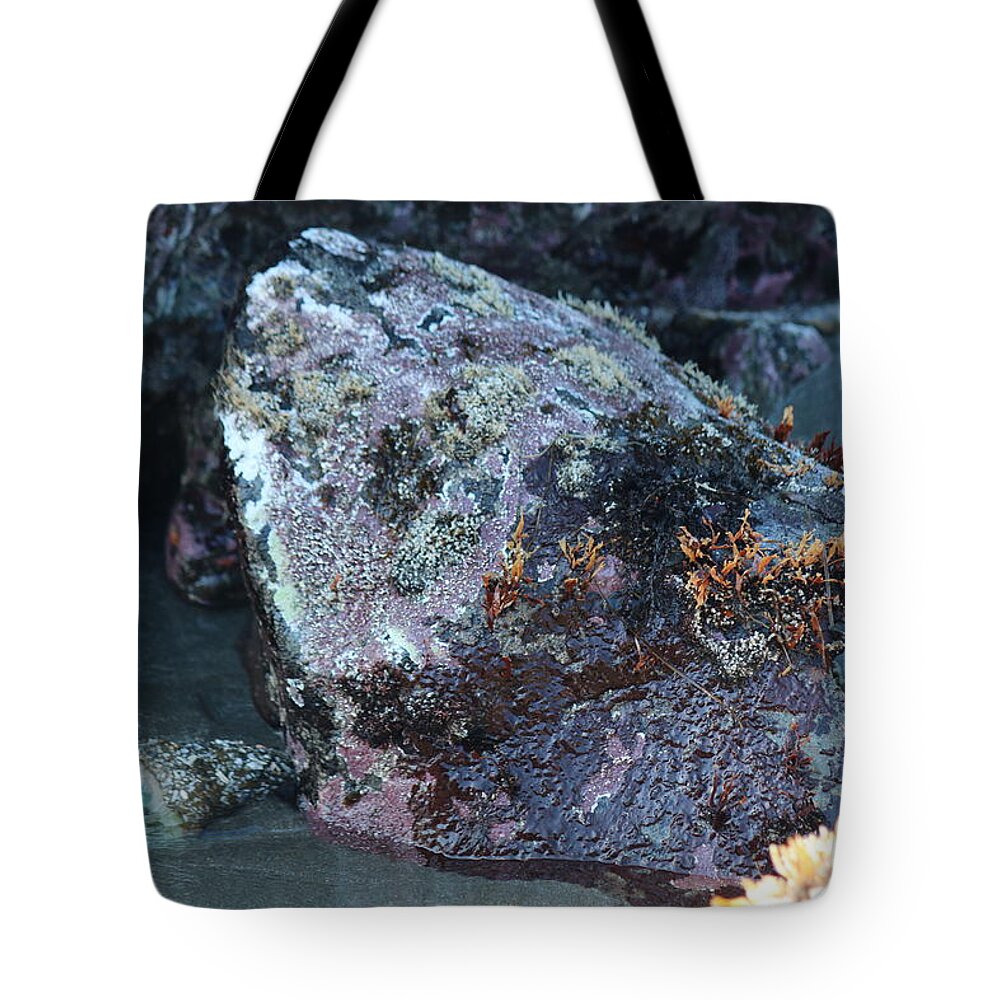 Rocks Tote Bag featuring the photograph Coastal Rocks by Christy Pooschke