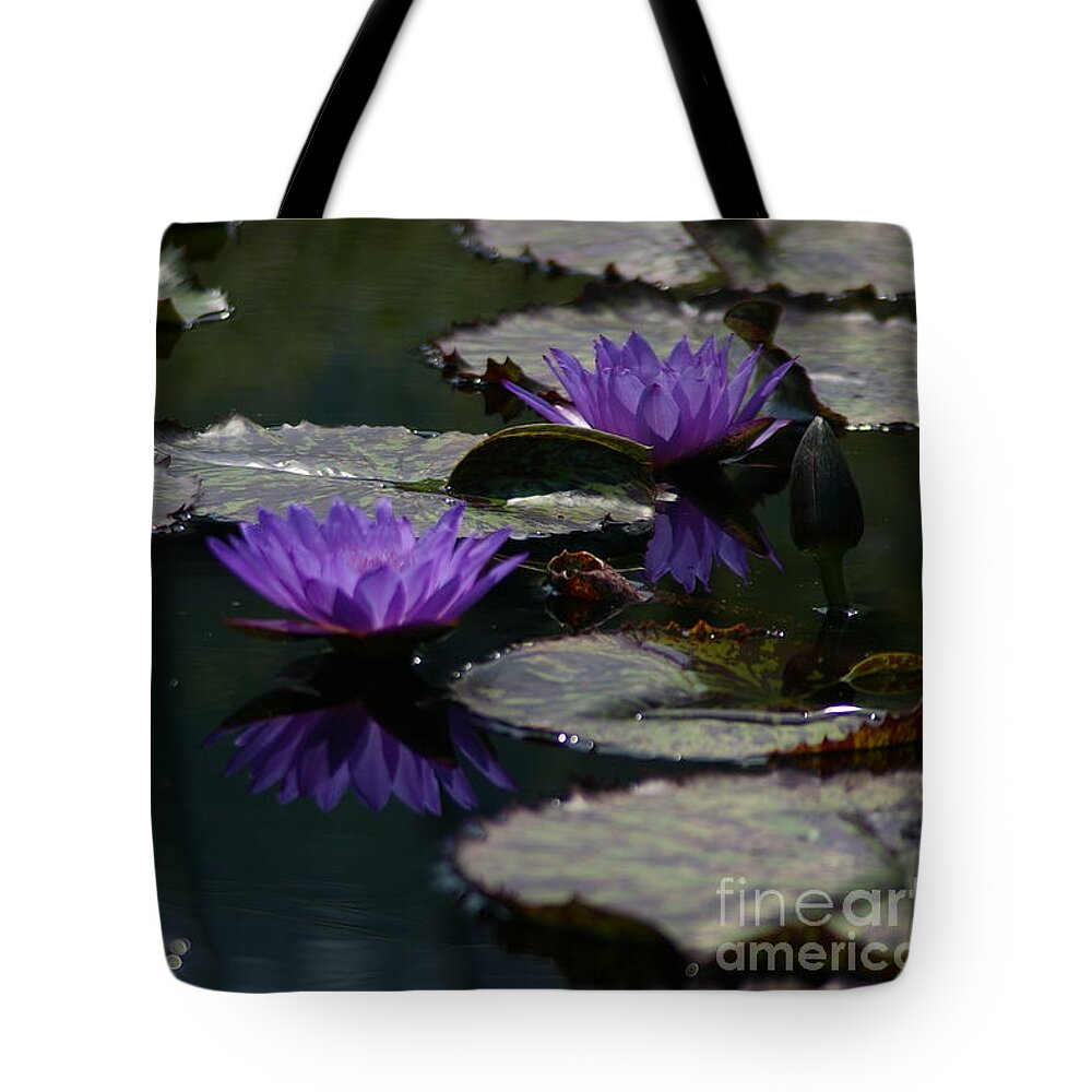 Cobalt Tote Bag featuring the photograph Cobalt Purple Lotus Waterlilies by Jackie Irwin