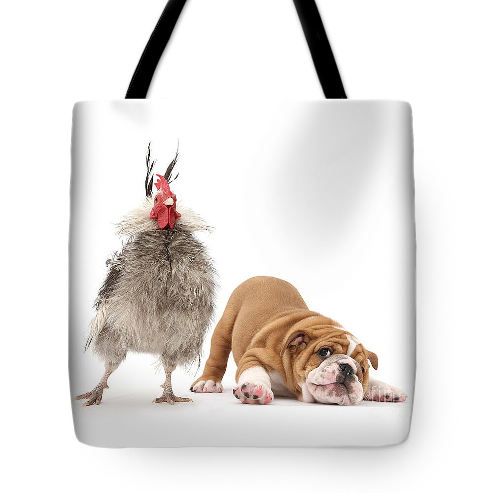 Cute Bulldog Tote Bag featuring the photograph Cock n Bull by Warren Photographic