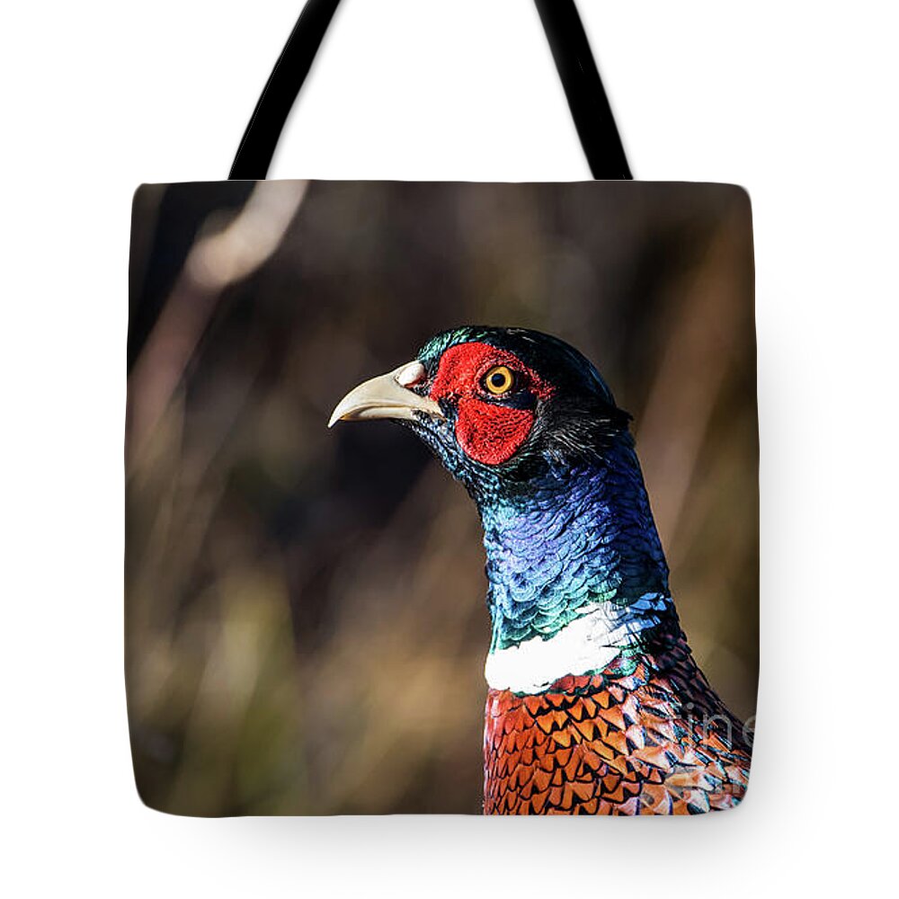 Portrait Cock Pheasant Tote Bag featuring the photograph Cock Pheasant in Fall by Torbjorn Swenelius