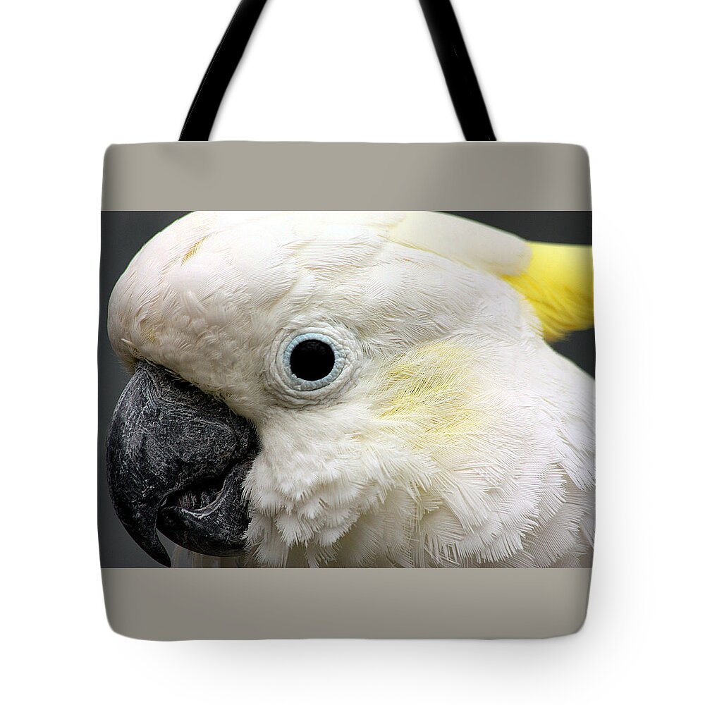 Nature Tote Bag featuring the photograph Cockatoo Close Up by Sheila Brown