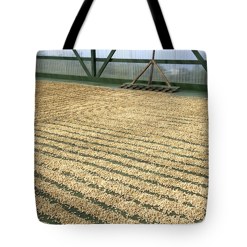 Drying Tote Bag featuring the photograph Coffee Beans Drying by Inga Spence