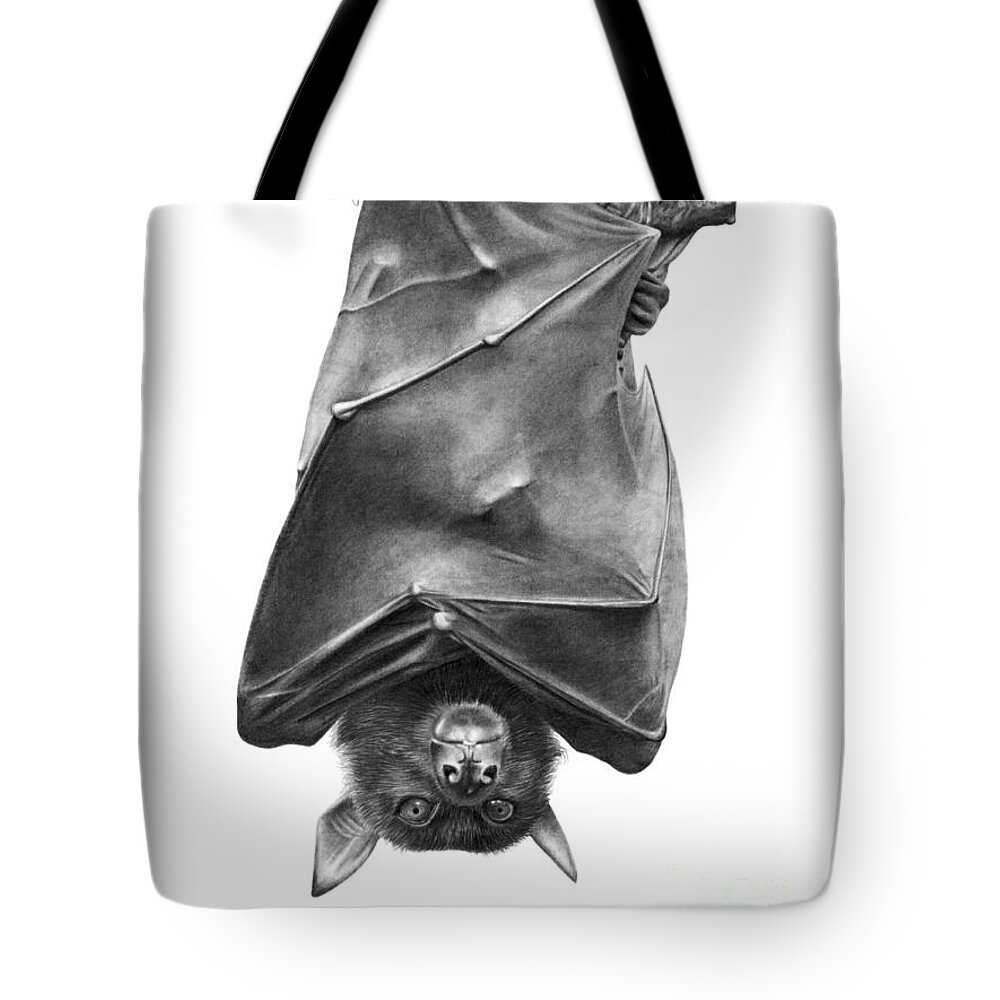 Fruit Bat Tote Bag featuring the drawing Coffie the Fruit Bat by Abbey Noelle