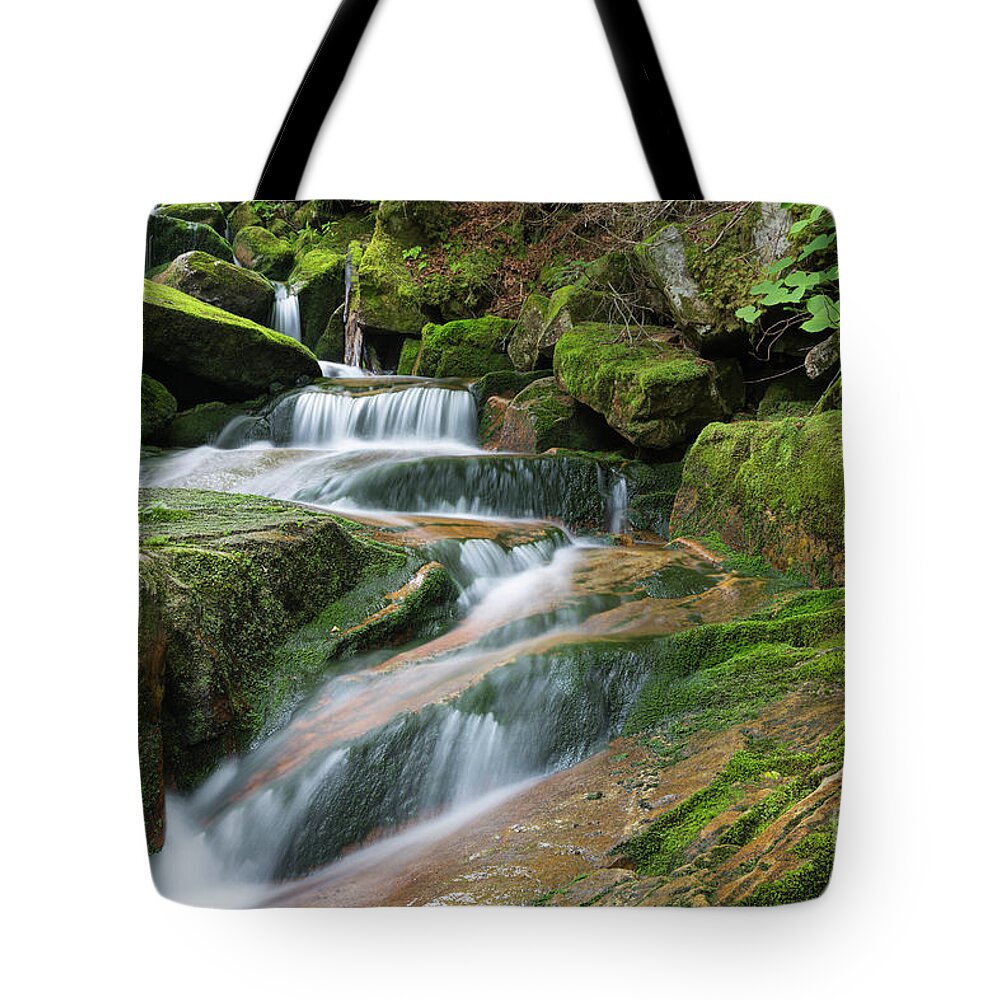 Amphibrach Trail Tote Bag featuring the photograph Cold Brook - Randolph New Hampshire by Erin Paul Donovan