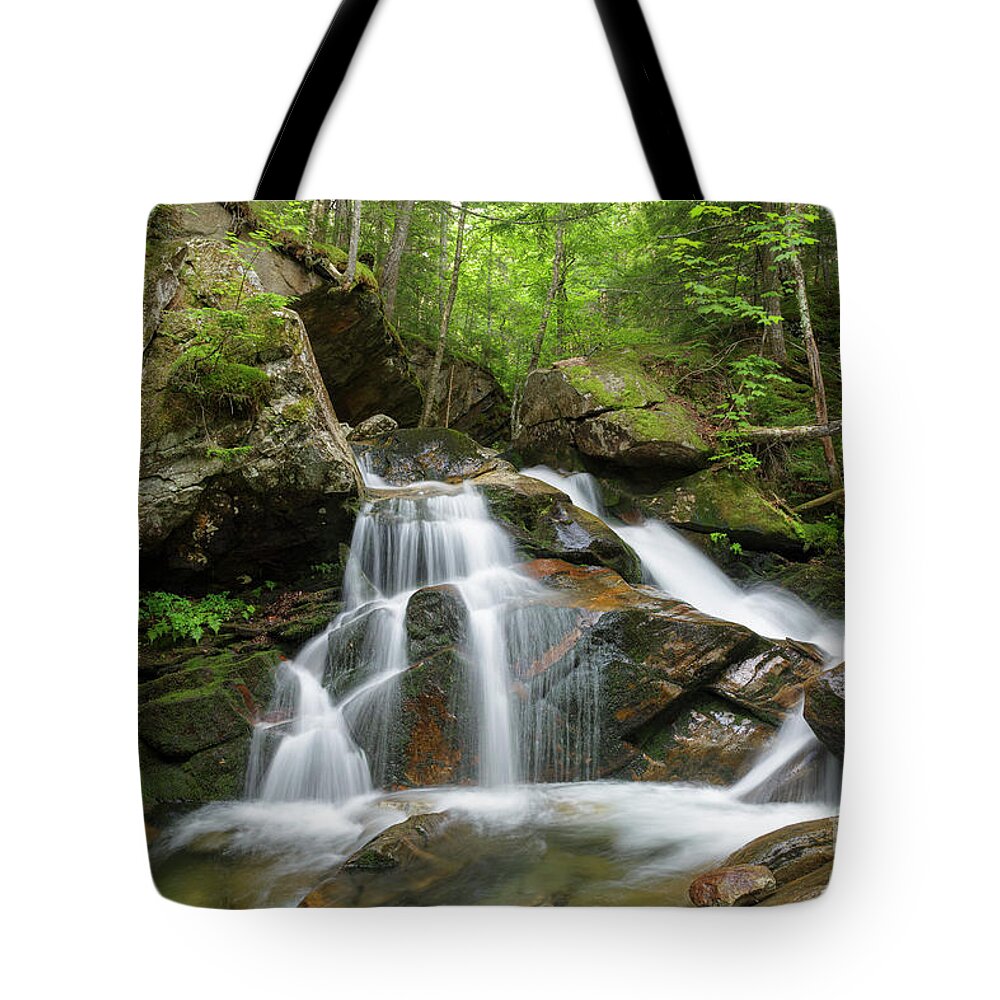 Amphibrach Trail Tote Bag featuring the photograph Cold Brook - White Mountains New Hampshire by Erin Paul Donovan