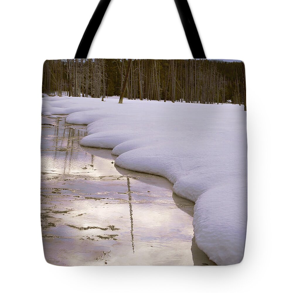 Winter Tote Bag featuring the photograph Cold Reflections by Kae Cheatham