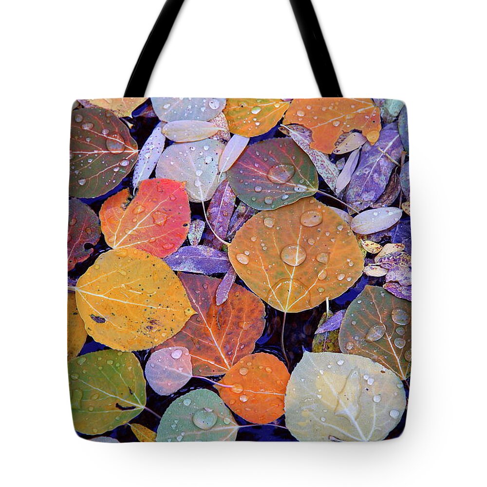 Fall Tote Bag featuring the photograph Collage of Aspen Leaves at McGee Creek in the Eastern Sierras by Jetson Nguyen