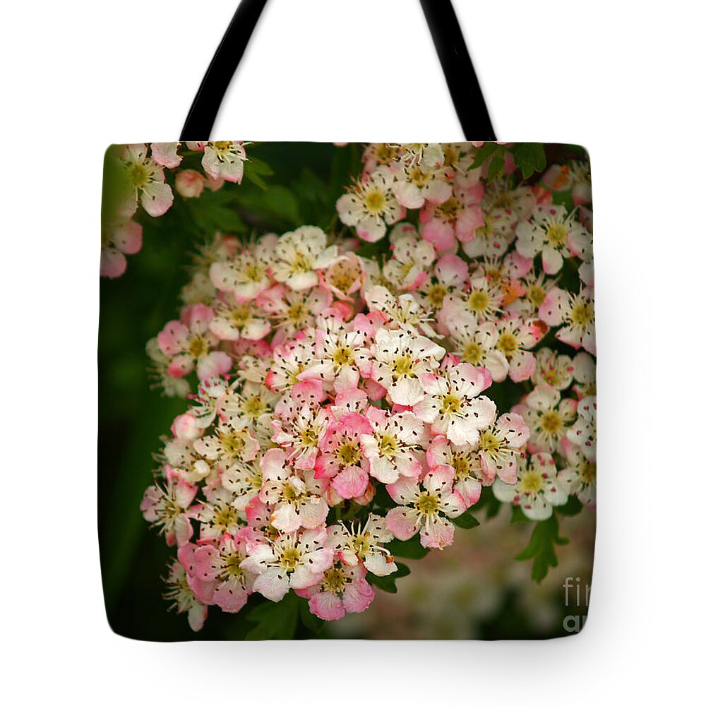 Fine Art Photography Tote Bag featuring the photograph Colleen by Patricia Griffin Brett