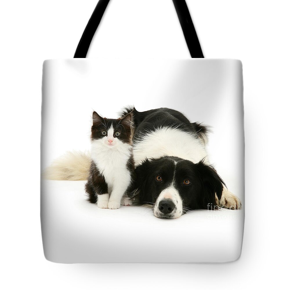 Border Collie Tote Bag featuring the photograph Collie Folly by Warren Photographic