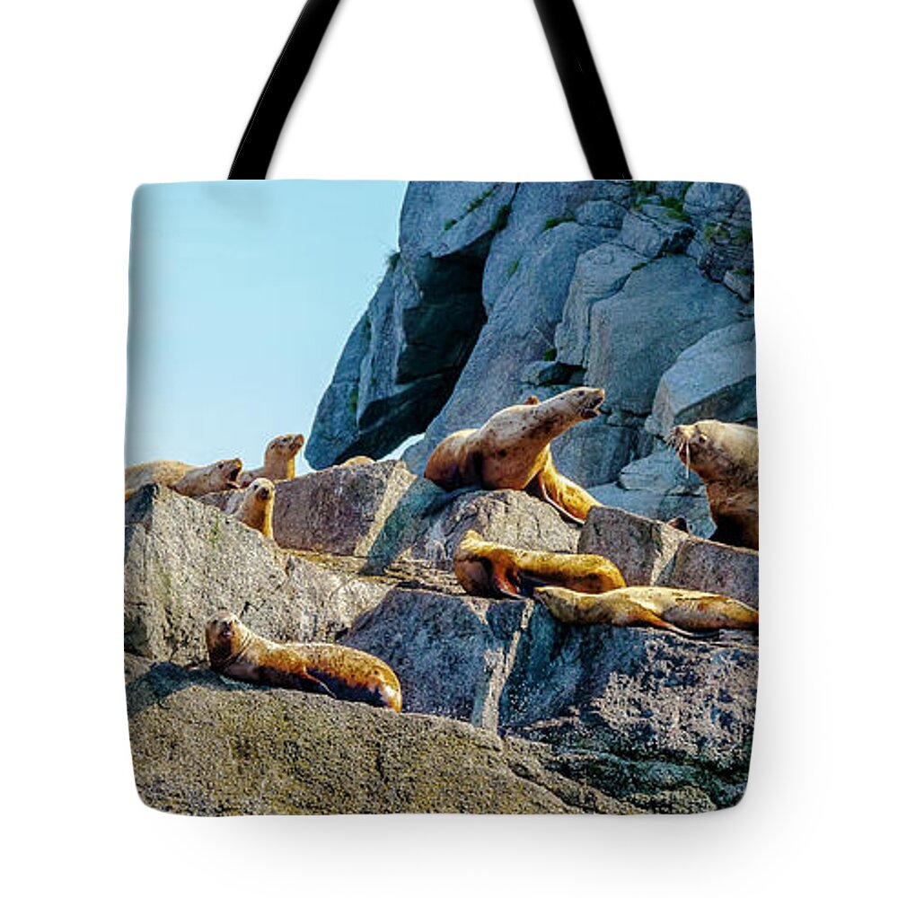 Landscape Tote Bag featuring the photograph Colony of Sea Lions by Kyle Lavey
