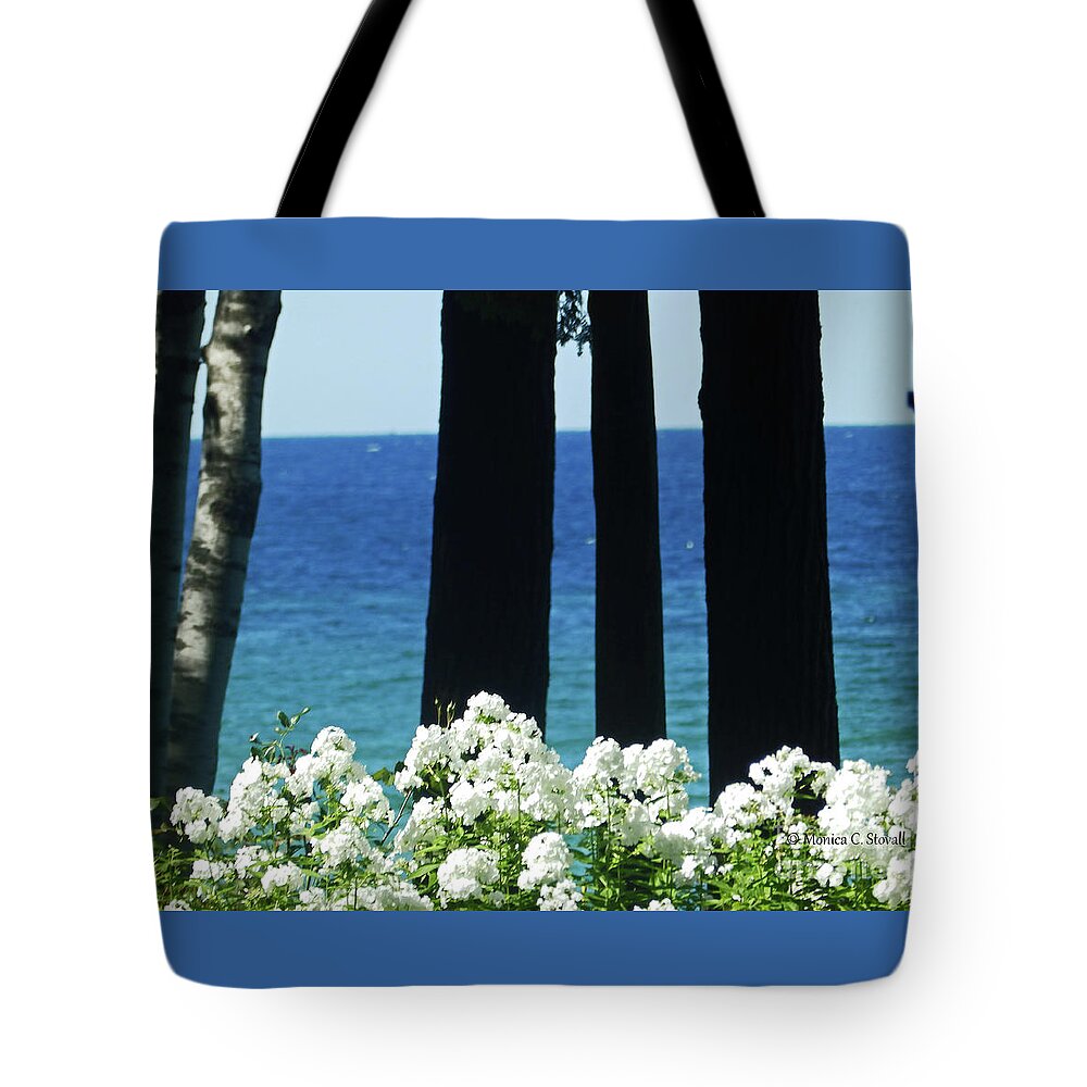 Garden Flowers Tote Bag featuring the photograph Color Combination Flowers CC80 by Monica C Stovall