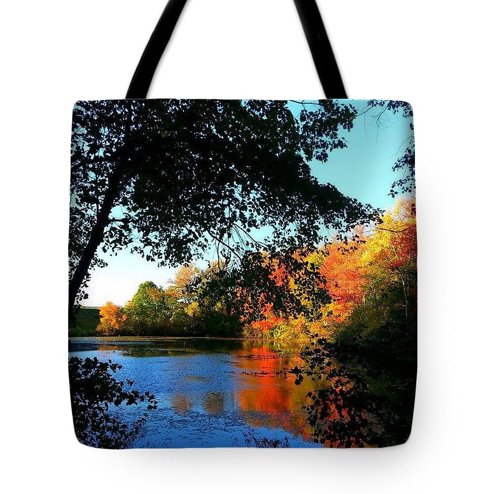 Autumn Tote Bag featuring the photograph Color Leak by Dani McEvoy