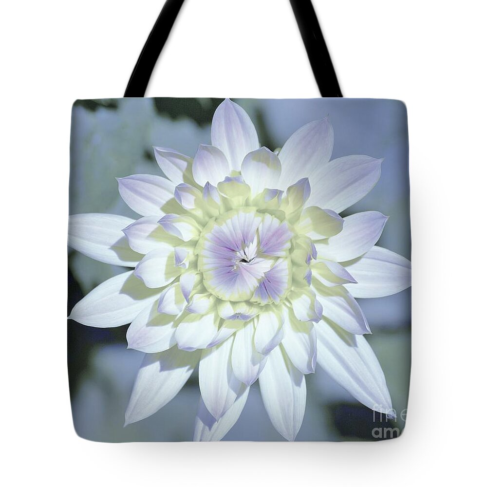 Flowers Tote Bag featuring the photograph Color Me by Merle Grenz