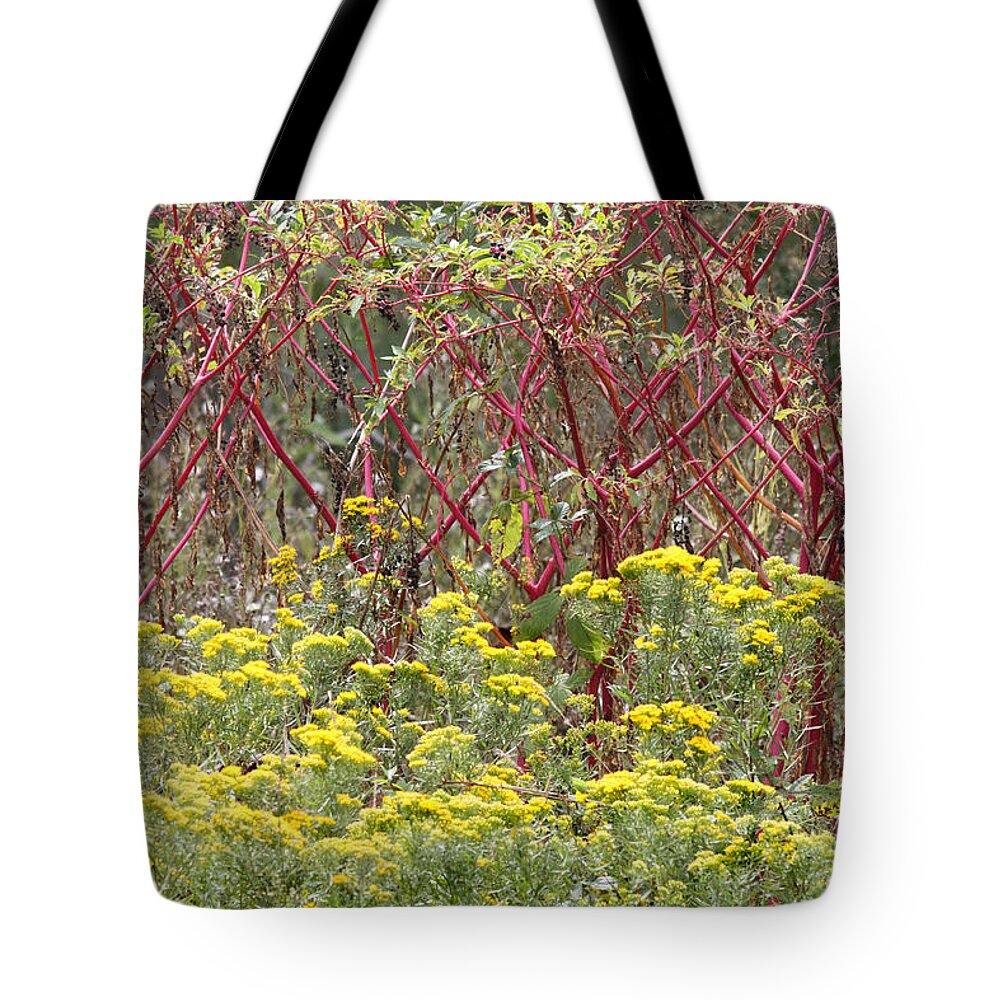 Golden Rod Tote Bag featuring the photograph Color My World by Captain Debbie Ritter