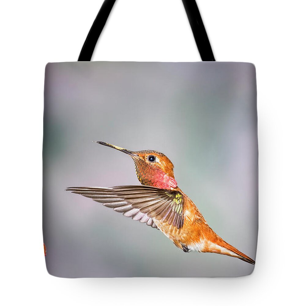 Rufus Hummingbird Tote Bag featuring the photograph Color of the Day by Peg Runyan