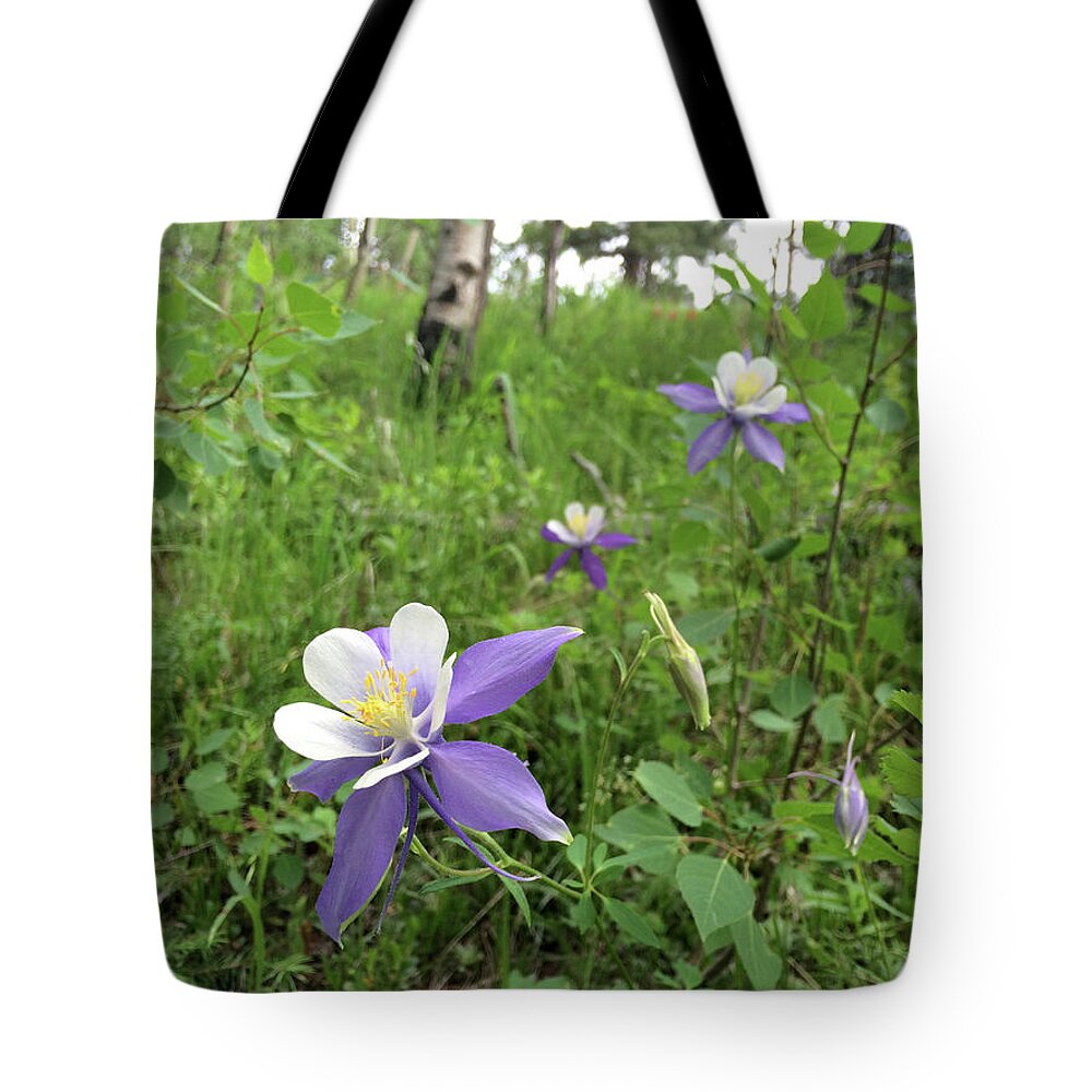 Columbine Tote Bag featuring the photograph Colorado Columbine on Pikes Peak by Adam Long