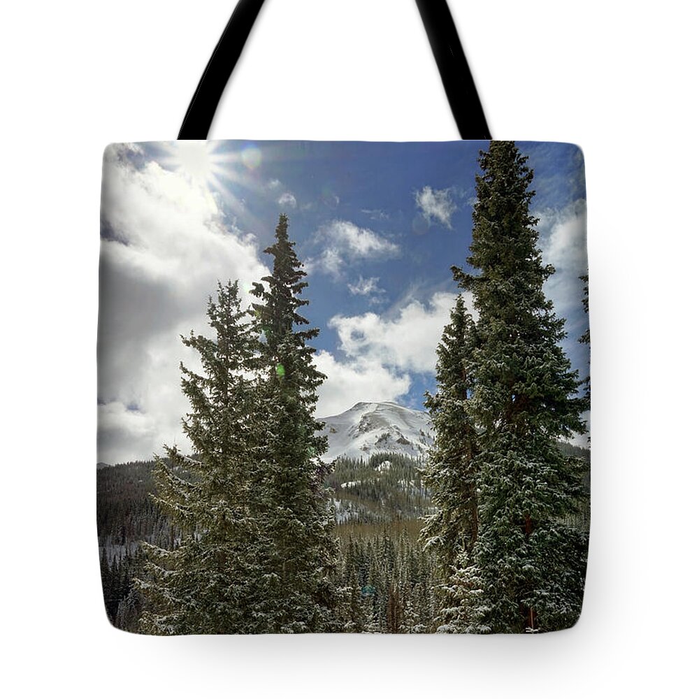 Colorado Tote Bag featuring the photograph Colorado Pines by Leda Robertson