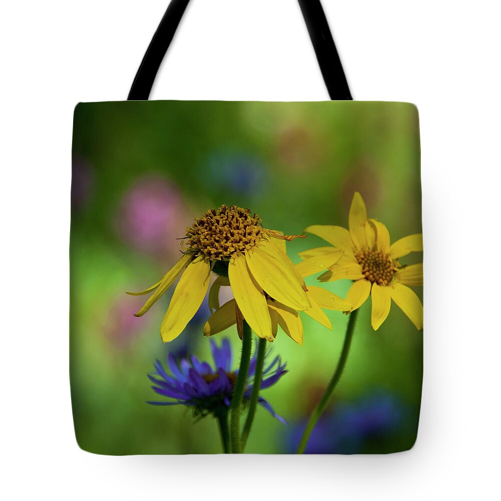 Yellow Tote Bag featuring the photograph Colorado Yellow Wildflower with Colorful Bokeh by Cascade Colors