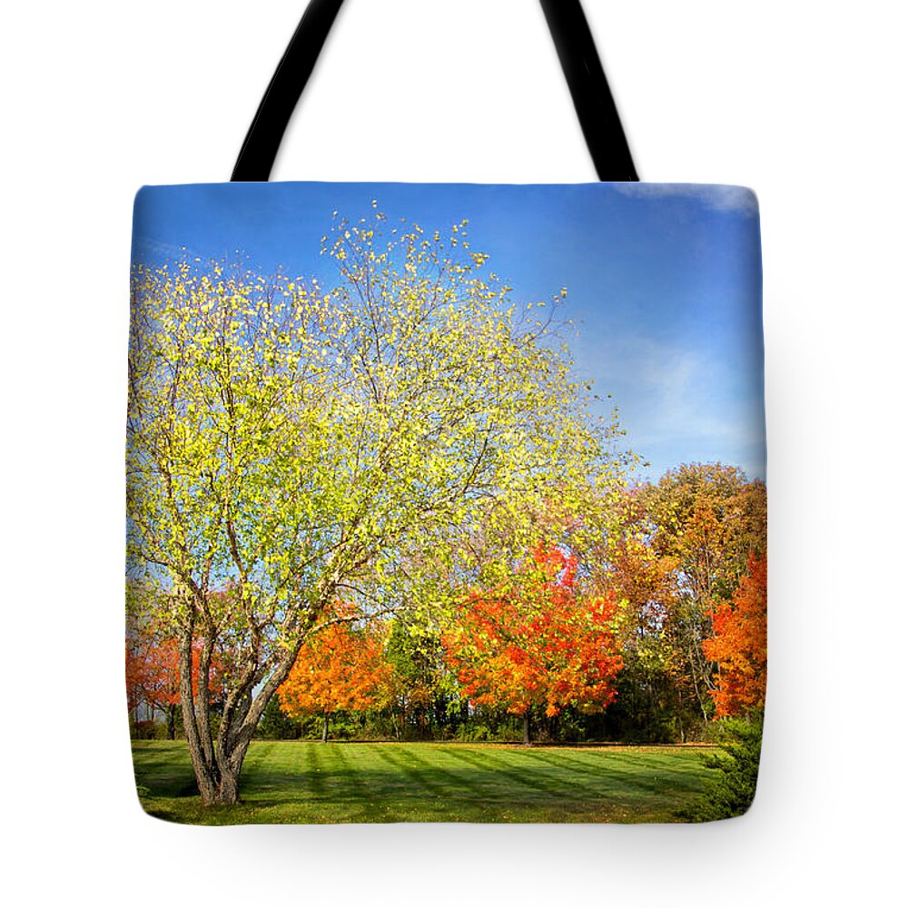 Colorful Backyard Scene Tote Bag featuring the photograph Colorful Backyard Scene by Carolyn Derstine