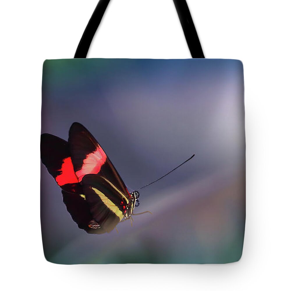 Butterfly Tote Bag featuring the photograph colorful Butterfly by Franziskus Pfleghart