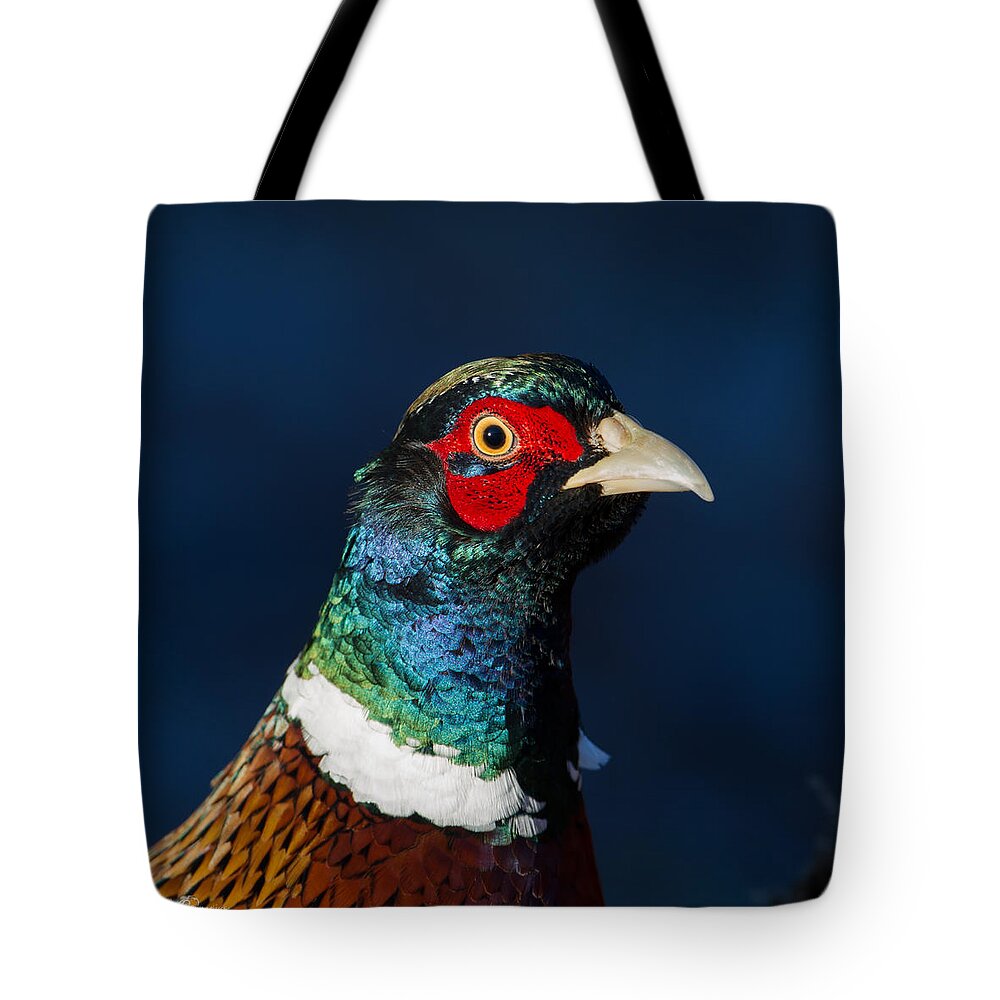 Portrait Cock Pheasant Tote Bag featuring the photograph Colorful Cock Pheasant by Torbjorn Swenelius