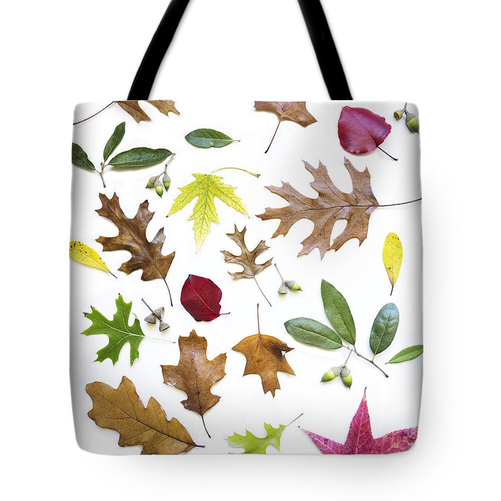 Colorful Fall Leaves Tote Bag featuring the photograph Colorful fall leaves by Elena Nosyreva