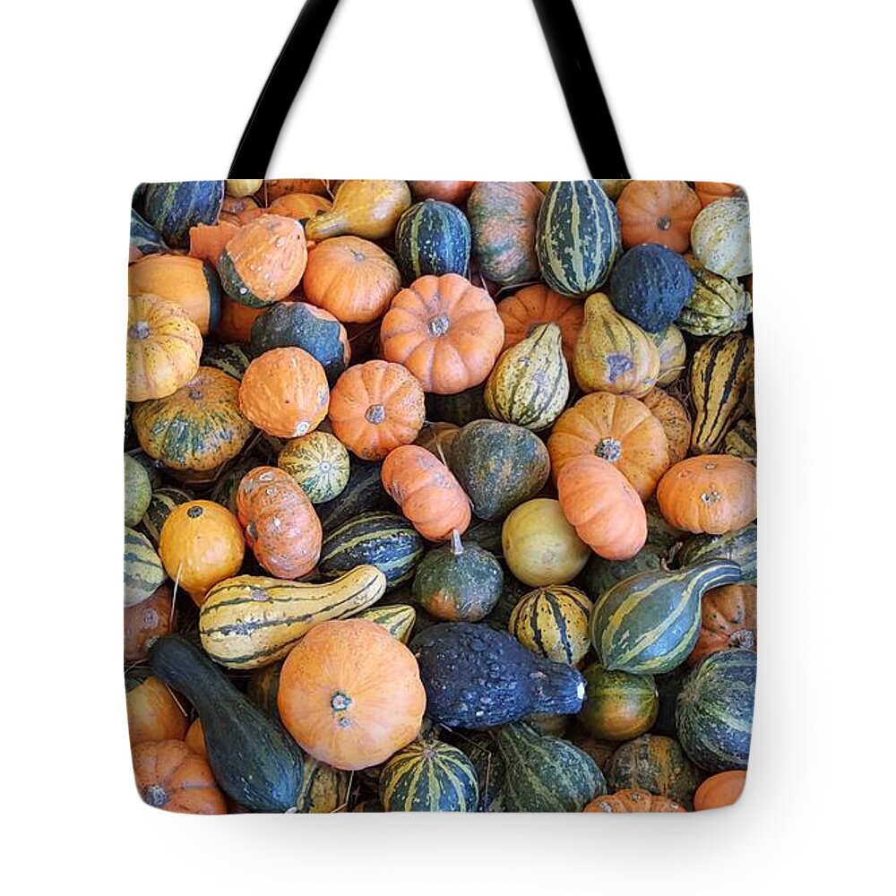 Vegetables Tote Bag featuring the photograph Colorful gords by Sheryl Unwin