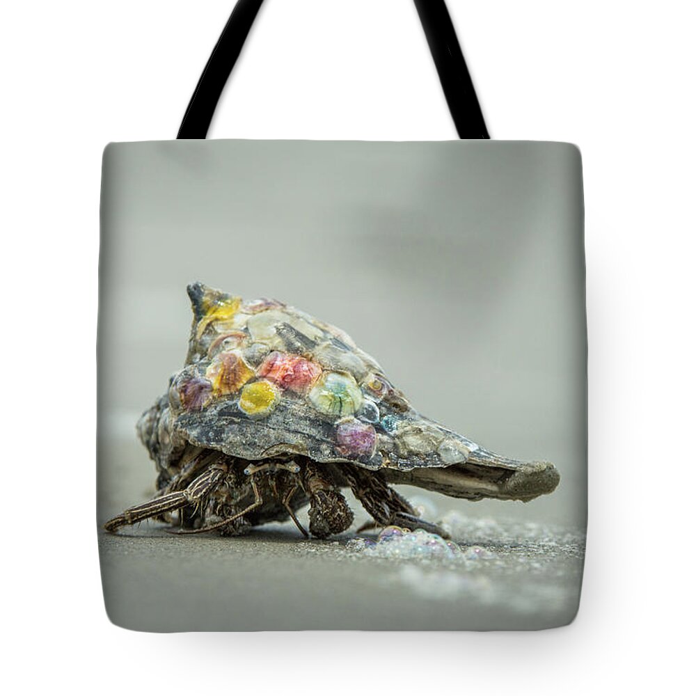 Alive Tote Bag featuring the photograph Colorful Hermit Crab by Chris Bordeleau