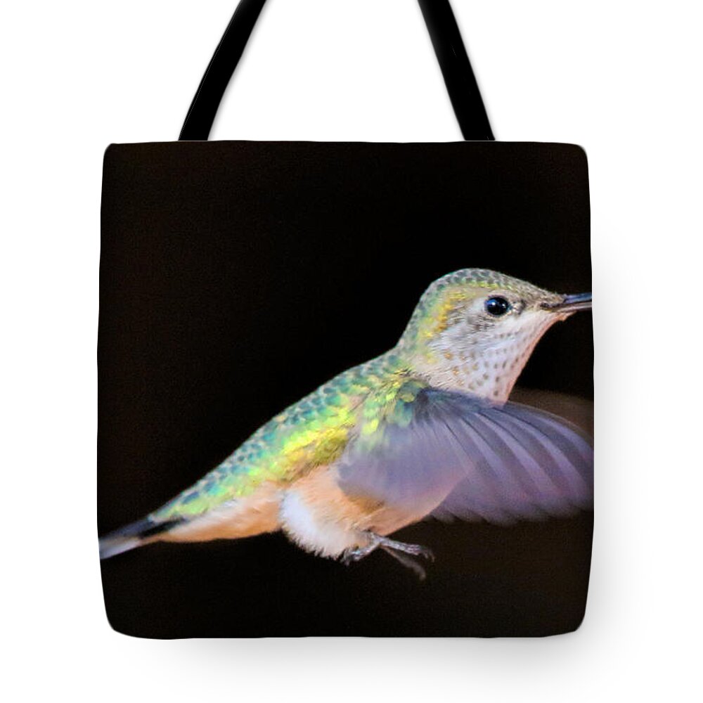 Hummingbird Tote Bag featuring the photograph Colorful Hummingbird by Dorothy Cunningham