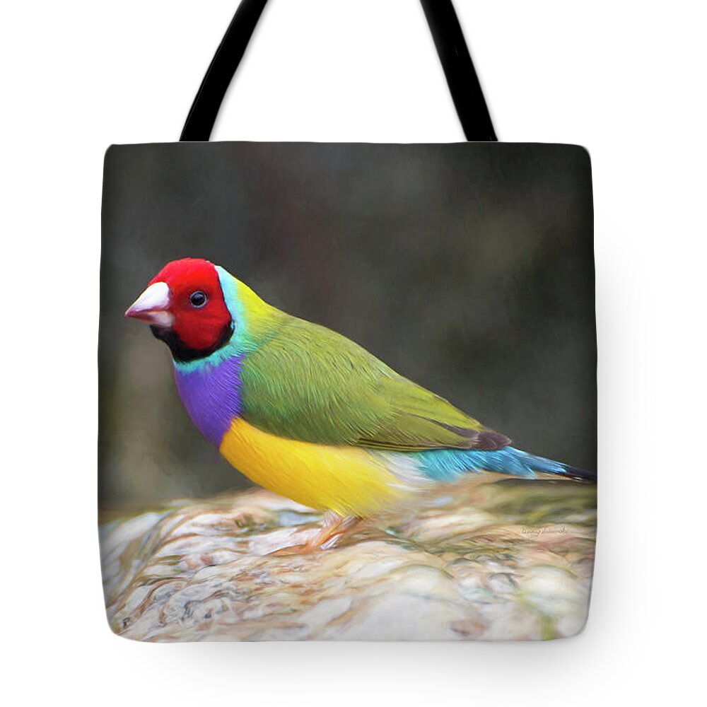 Florida Tote Bag featuring the photograph Colorful Lady Gulian Finch by Penny Lisowski