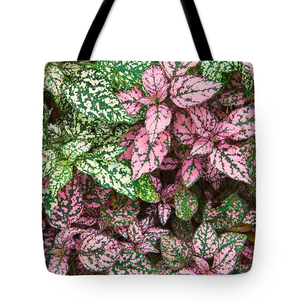 Leafy Tote Bag featuring the photograph Colorful Leafy Ground Cover by Ram Vasudev
