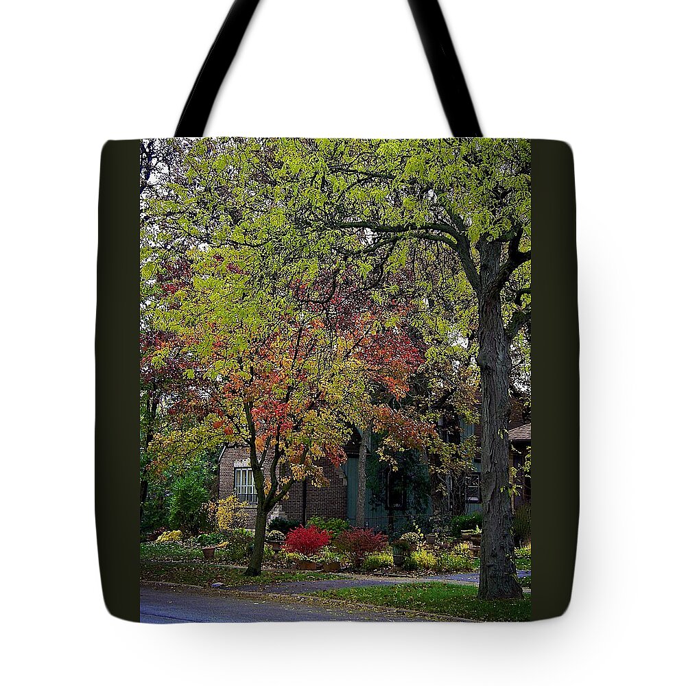 Frankjcasella Tote Bag featuring the photograph Colorful Sidwalk by Frank J Casella
