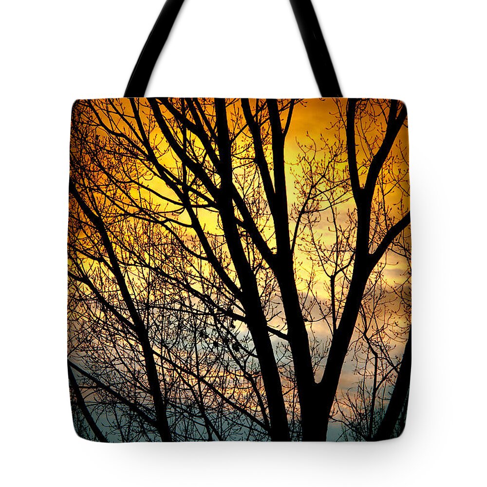 Sunsets Tote Bag featuring the photograph Colorful Sunset Silhouette by James BO Insogna