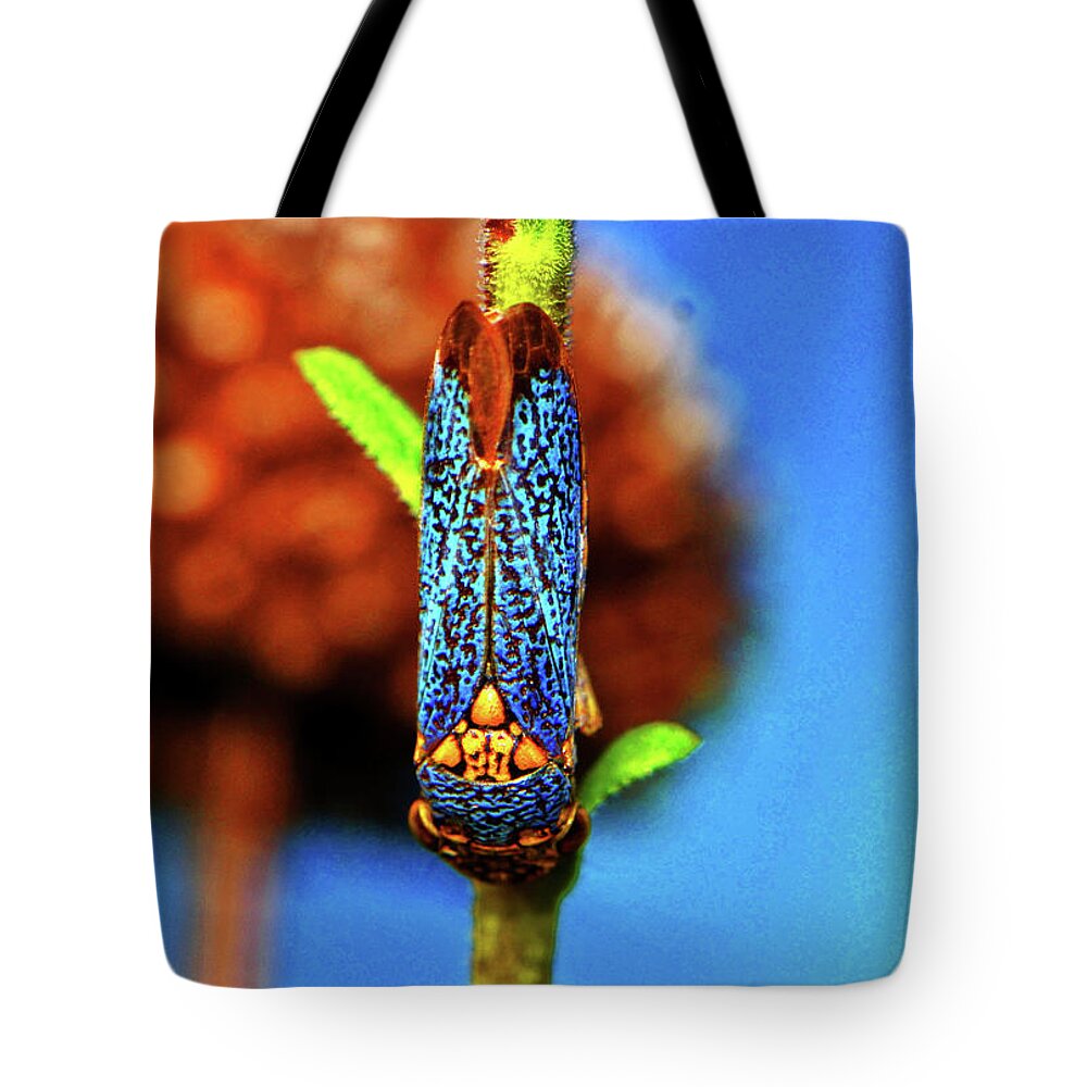 Insect Tote Bag featuring the photograph Colorful Treehopper 003 by George Bostian