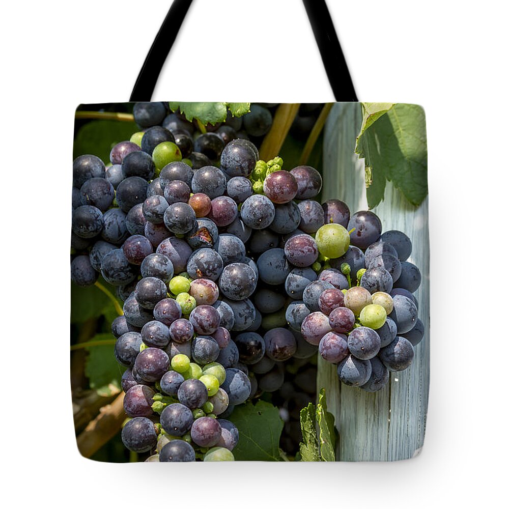 Colorado Vineyard Tote Bag featuring the photograph Colorful Wine Grapes on Grapevine by Teri Virbickis